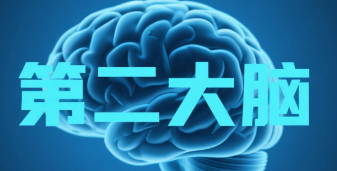 企業(yè)微信截圖_20250814215829.png